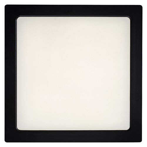 Plafoniera Shaun2 LED, 24W, 2450lm, lumina neutra (4000K)